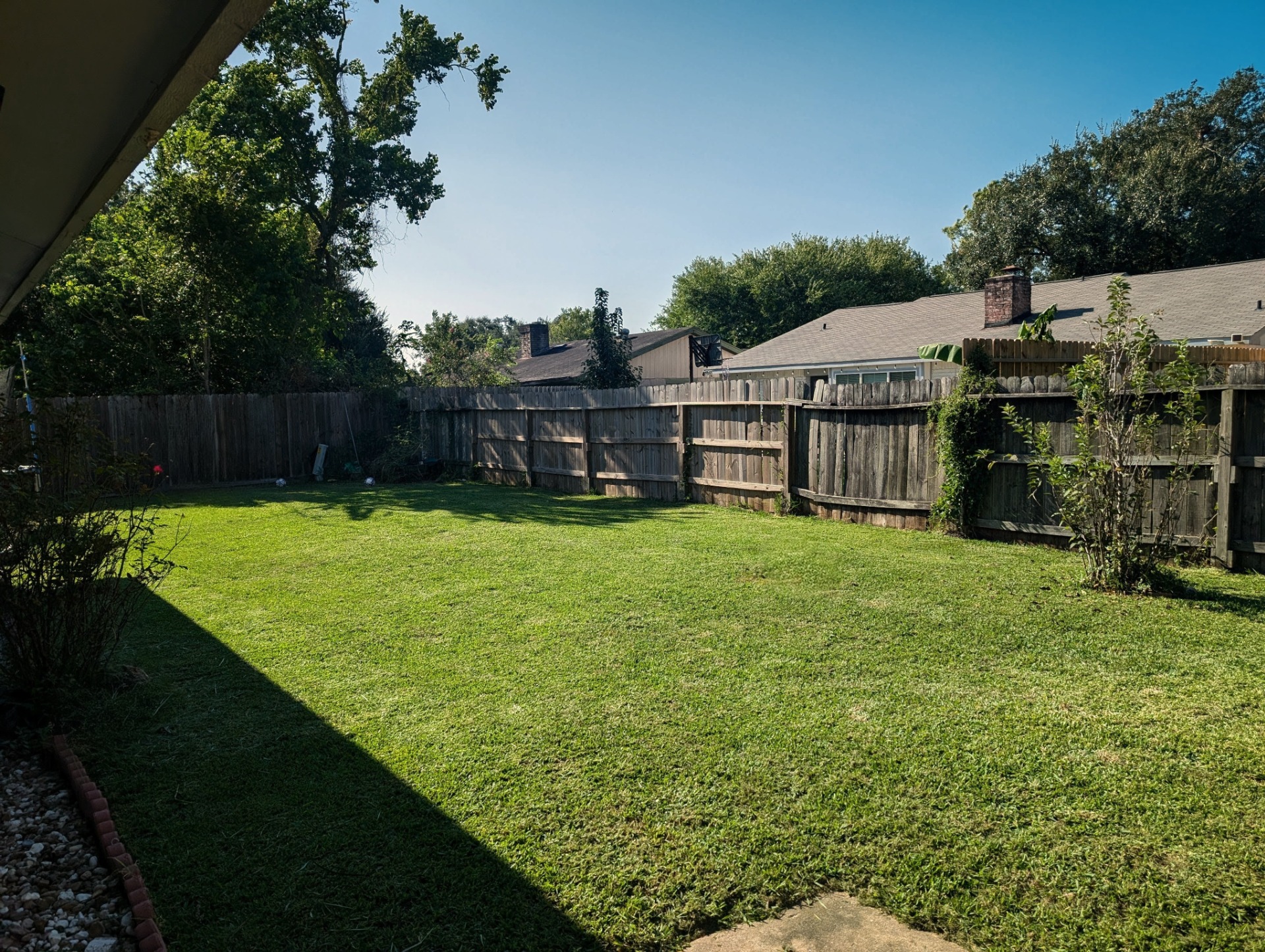 My Backyard, wouldn't you want your dog to run happily here while you are in vacation or work